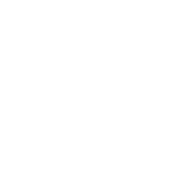 NG100 Académie