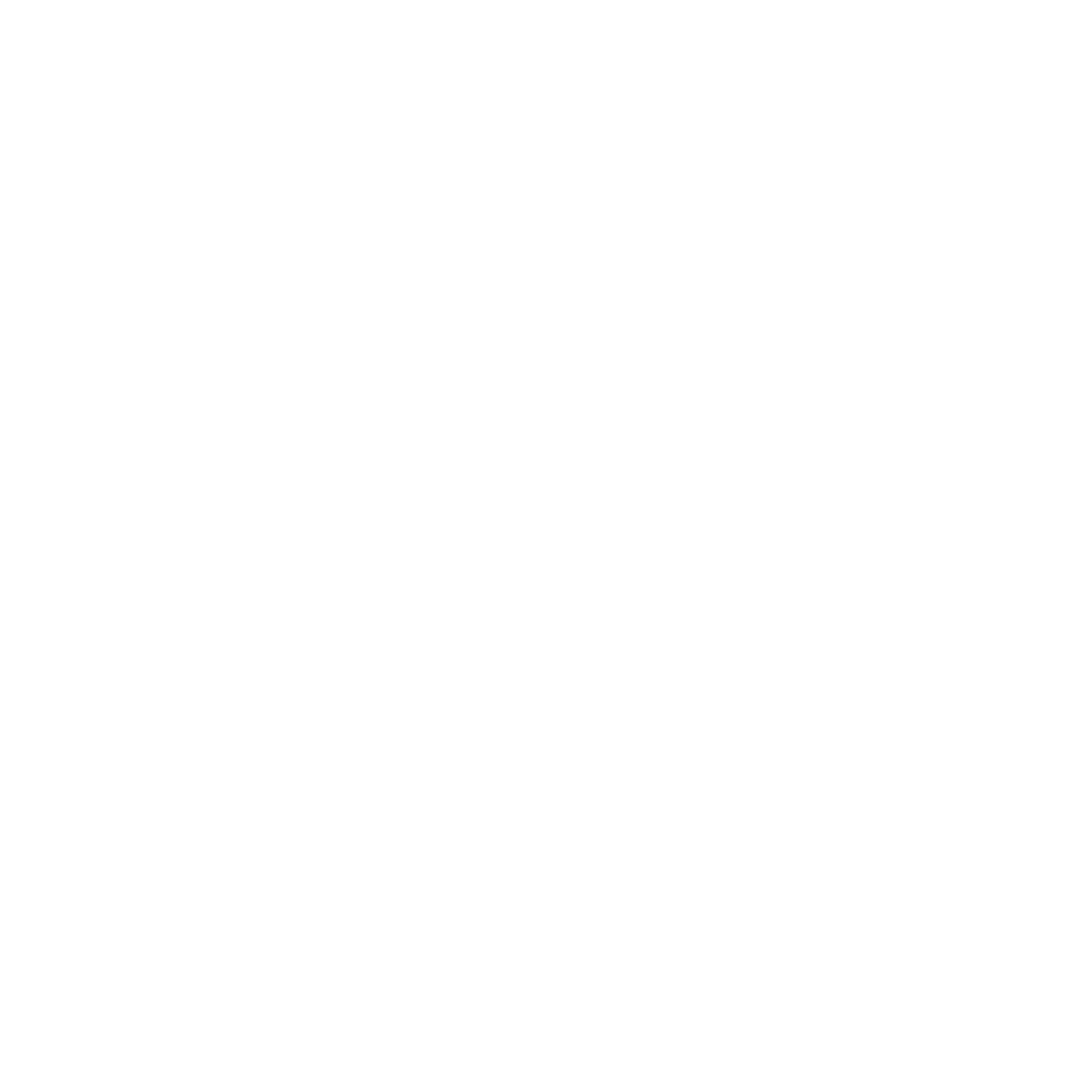 NG100 Académie